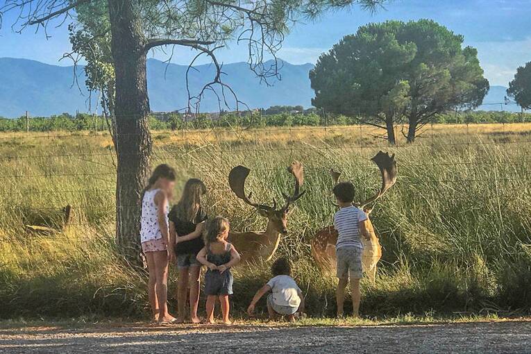 Camping Les Fontaines *** photo 5 Languedoc Roussillon Tohapi